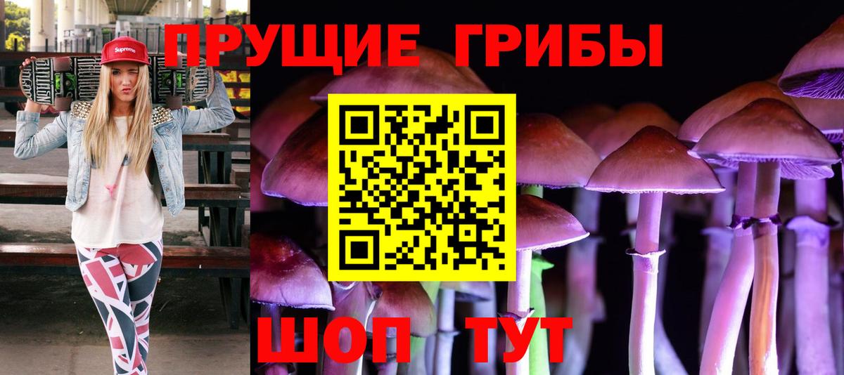 Псилоцибиновые грибы прущие грибы Павловский Посад